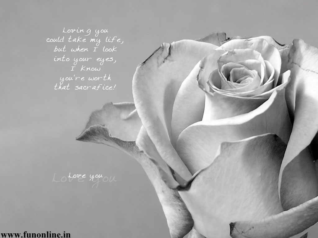 Black Roses With Love Quotes. QuotesGram
