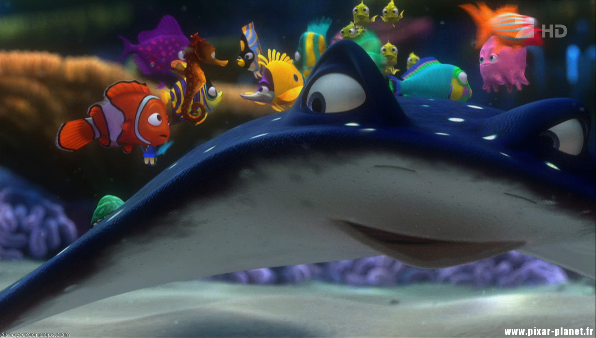 Mr Ray Finding Nemo Gif