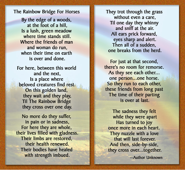The Bridge We Are Quotes Quotesgram