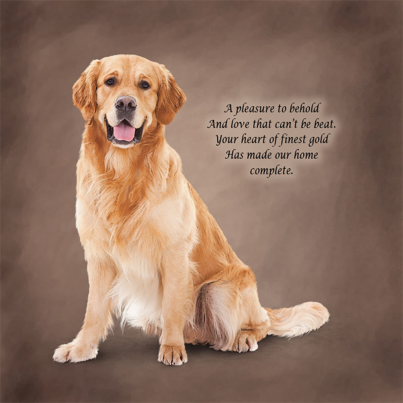 Retriever Quotes Quotesgram Retriever Quotes Quotesgram
