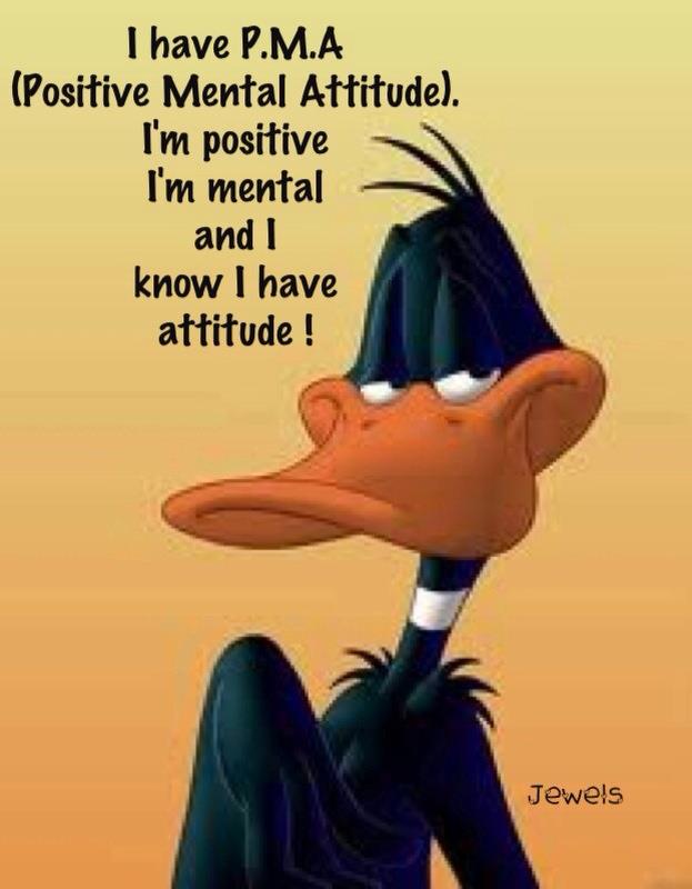 Quotes From Daffy Duck. QuotesGram