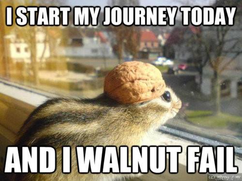 Funny Quotes Journey QuotesGram funny-quotes-journey-quotesgram