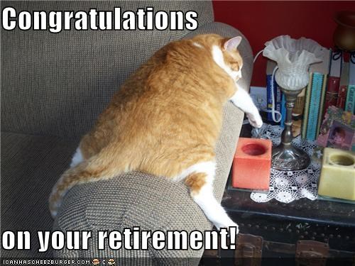1424030544-Congratulations-on-your-retirement-relaxing-cat.jpeg