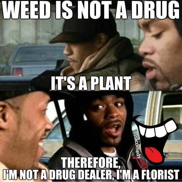 Extreme Funny Weed Quotes. QuotesGram