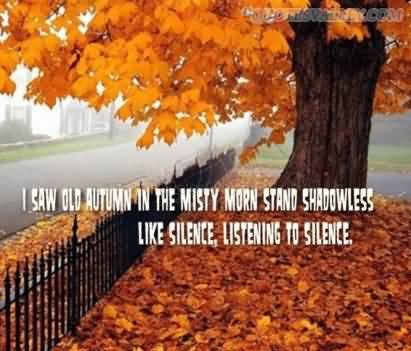 funny fall quotes sayings