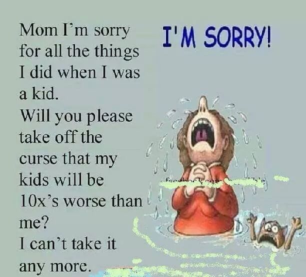 Im Sorry Funny Quotes. QuotesGram