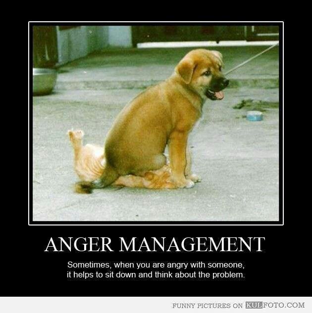 Funny Quotes Anger Management. QuotesGram