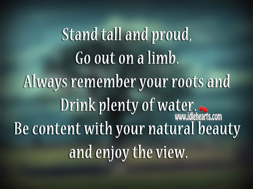 Stand Tall and Proud
