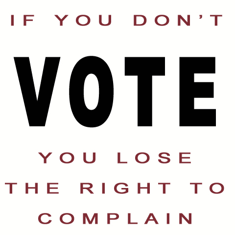 Importance Of Voting Quotes. QuotesGram