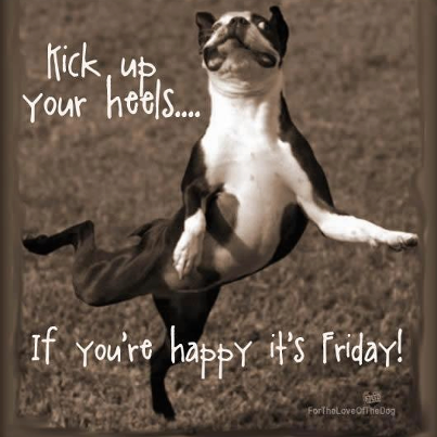 Excited Animal Quotes. QuotesGram Excited Animal Quotes. QuotesGram
