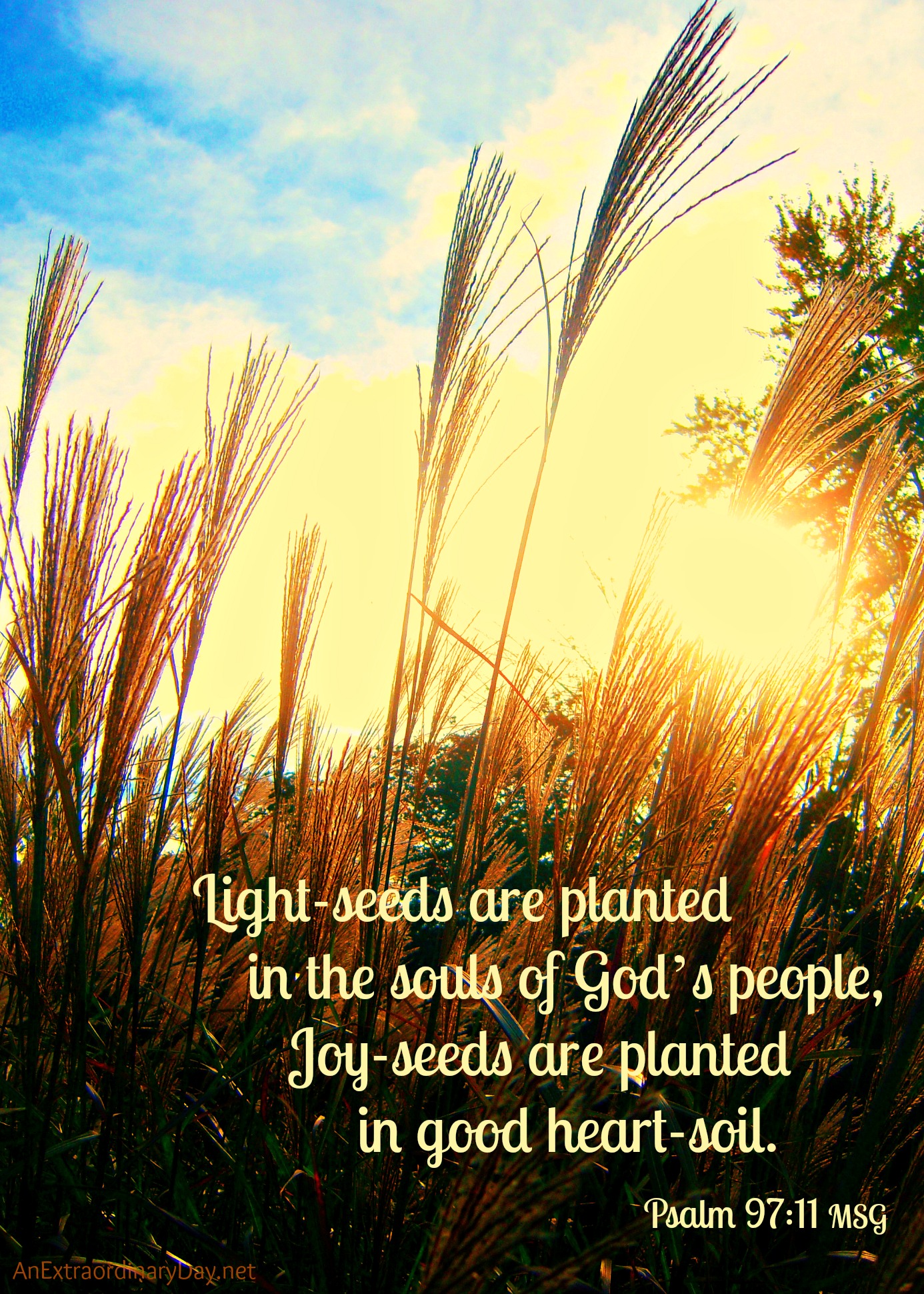Bible Quotes About Planting Seeds. QuotesGram