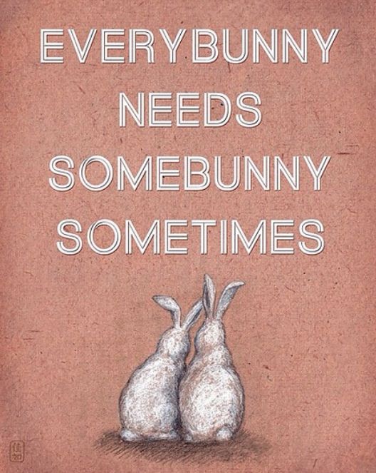 Bunny Love Quotes. QuotesGram