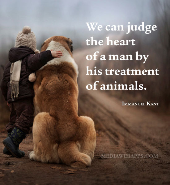 Quotes About Treatment Of Animals. QuotesGram