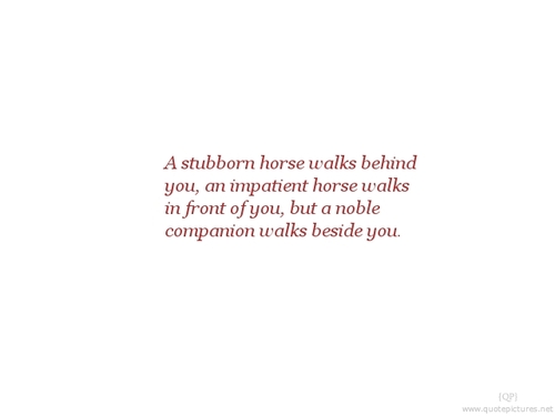 My Horse Quotes. QuotesGram