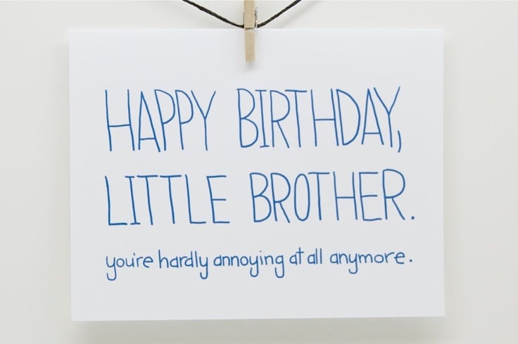 Funniest Birthday Little Brother Quotes. QuotesGram
