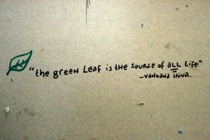 Vandana Shiva Quotes. QuotesGram