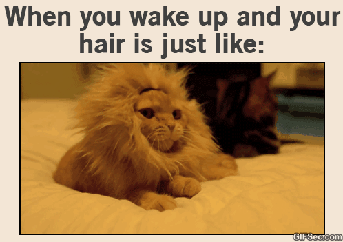 Bad Hair Day Funny Quotes. QuotesGram