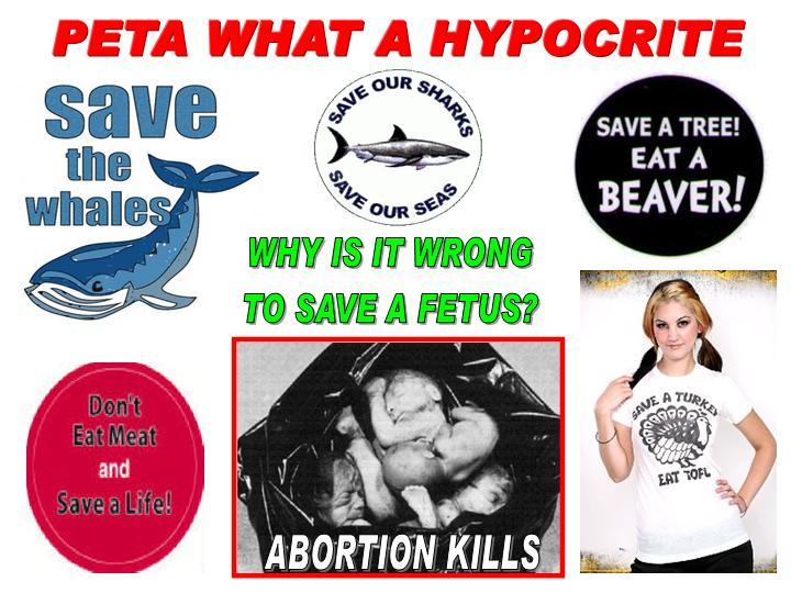 Anti Peta Quotes QuotesGram anti-peta-quotes-quotesgram