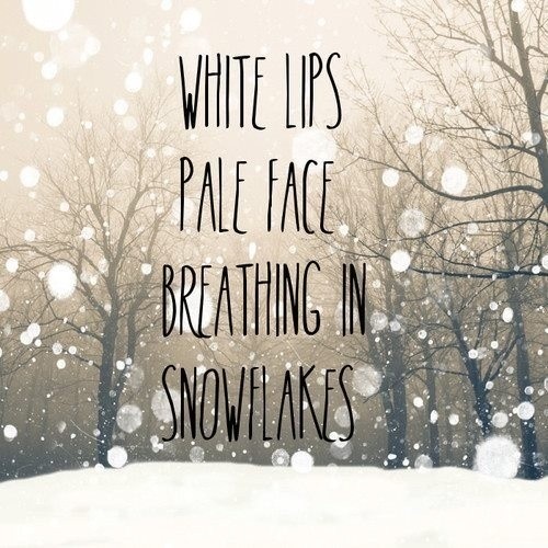 Inspirational Quotes About Snow Flakes. QuotesGram