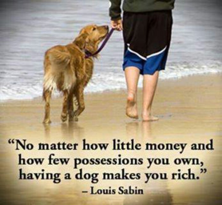 Dogs Unconditional Love Quotes. QuotesGram