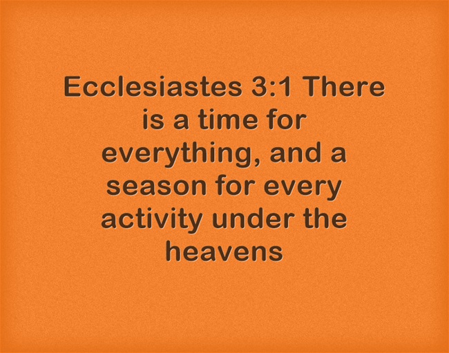 God S Timing Bible Verse Bible Quotes About Gods Timing. Quotesgram