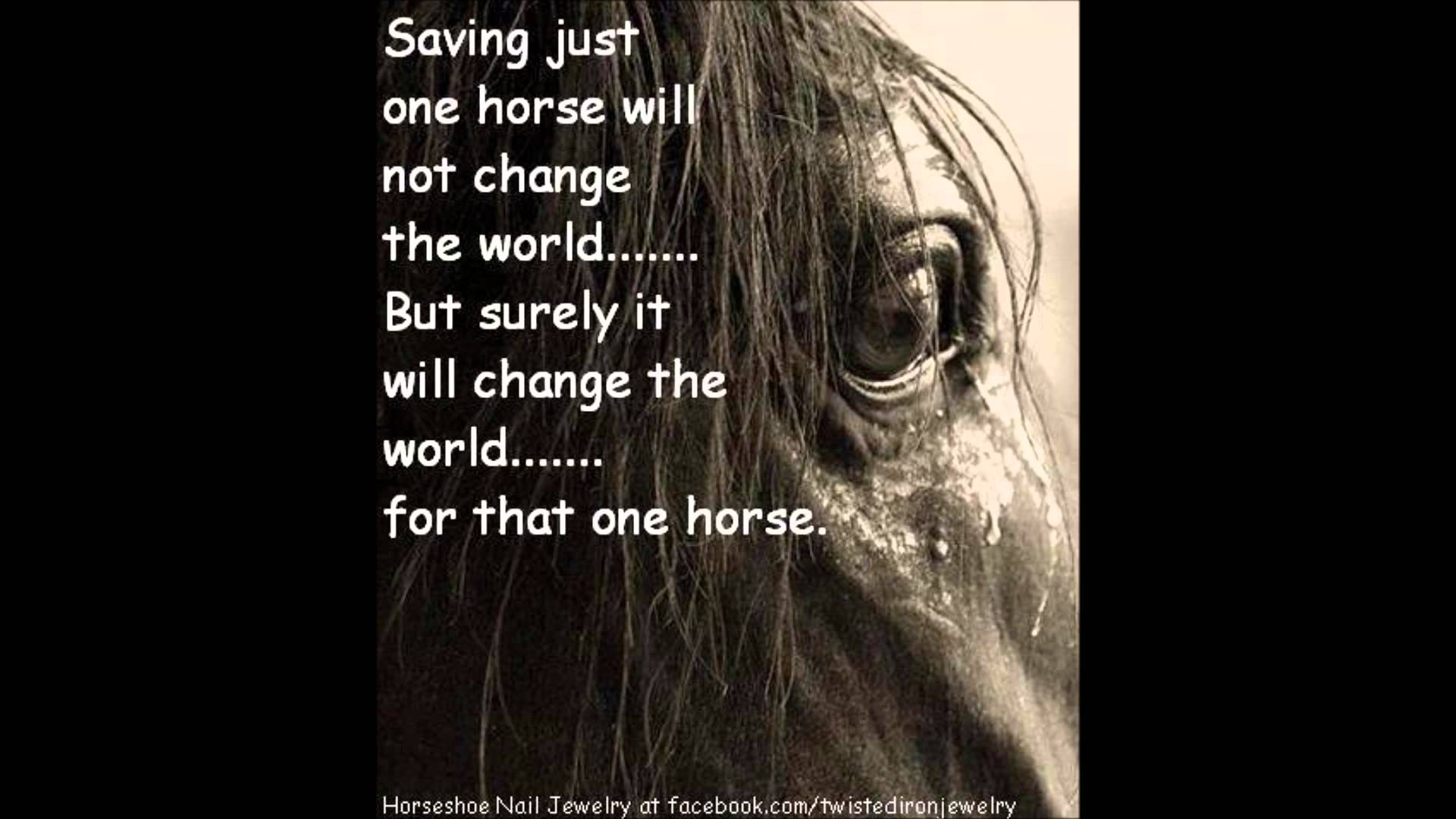 Sad Horse Quotes. QuotesGram