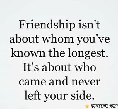 Quotes About Meaning Of Friendship Quotesgram