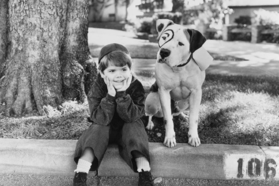 Spanky Little Rascals Quotes. QuotesGram