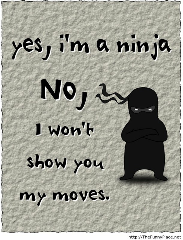 Funny Ninja Quotes And Sayings. QuotesGram