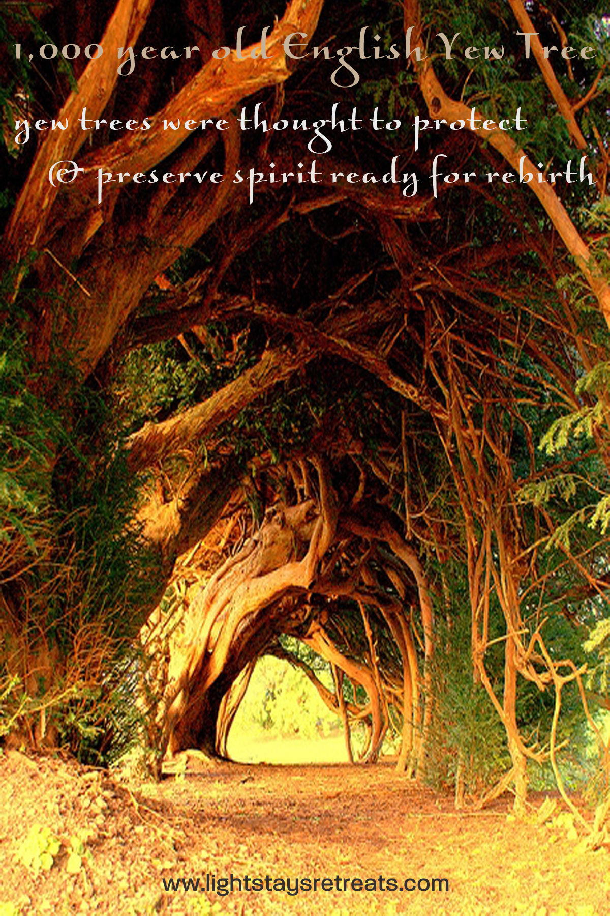 Inspirational Pagan Quotes And Pictures. QuotesGram