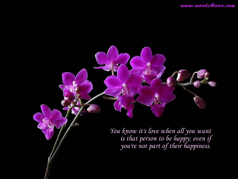 Quotes Meaning Of Orchids Quotesgram