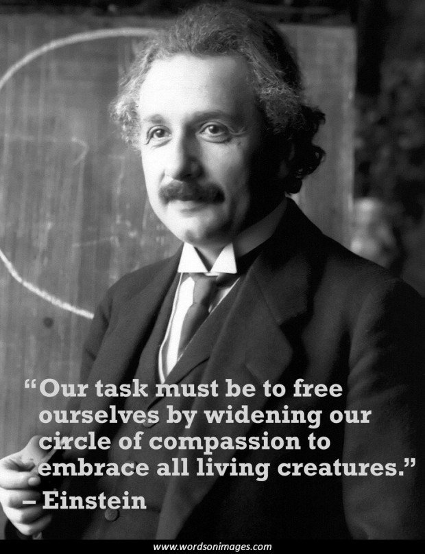 Famous Quotes About Animal Cruelty QuotesGram famous-quotes-about-animal-cruelty-quotesgram
