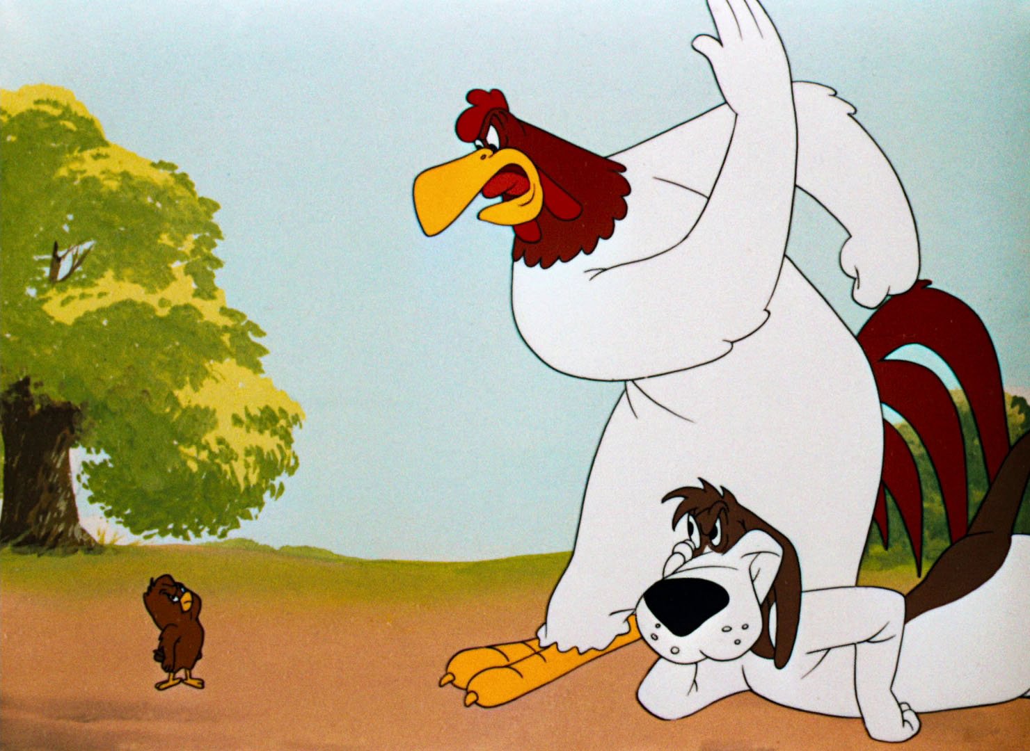 I Say Foghorn Leghorn Pictures And Quotes.