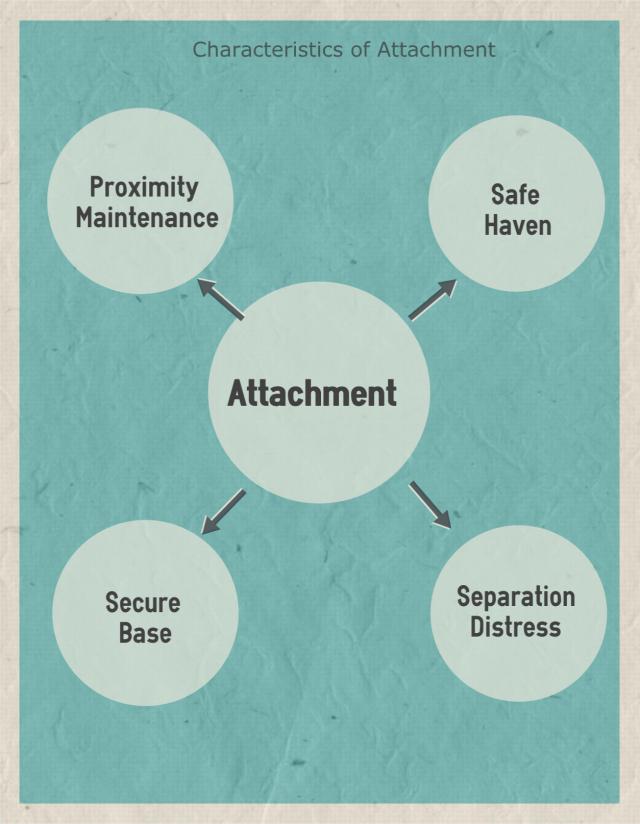 John Bowlby Attachment Theory Quotes QuotesGram
