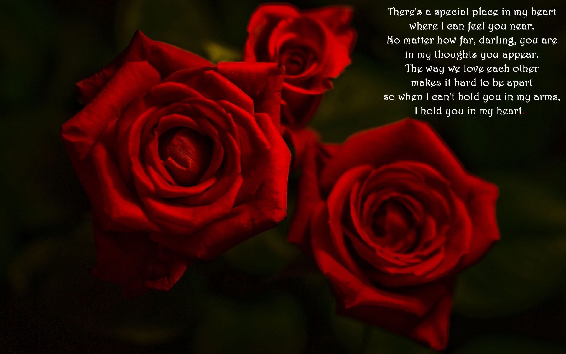 Red Rose Love Quotes. QuotesGram