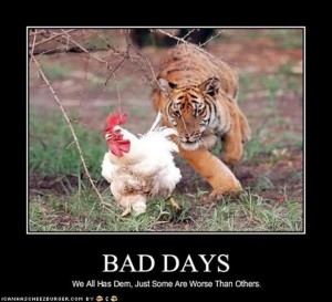 Bad Day  Funny  Quotes  QuotesGram