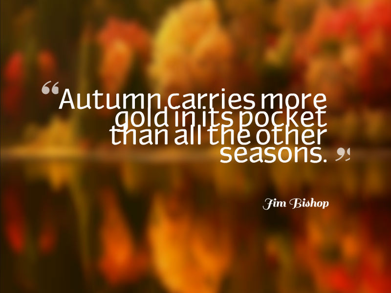 Autumn Color Quotes. QuotesGram