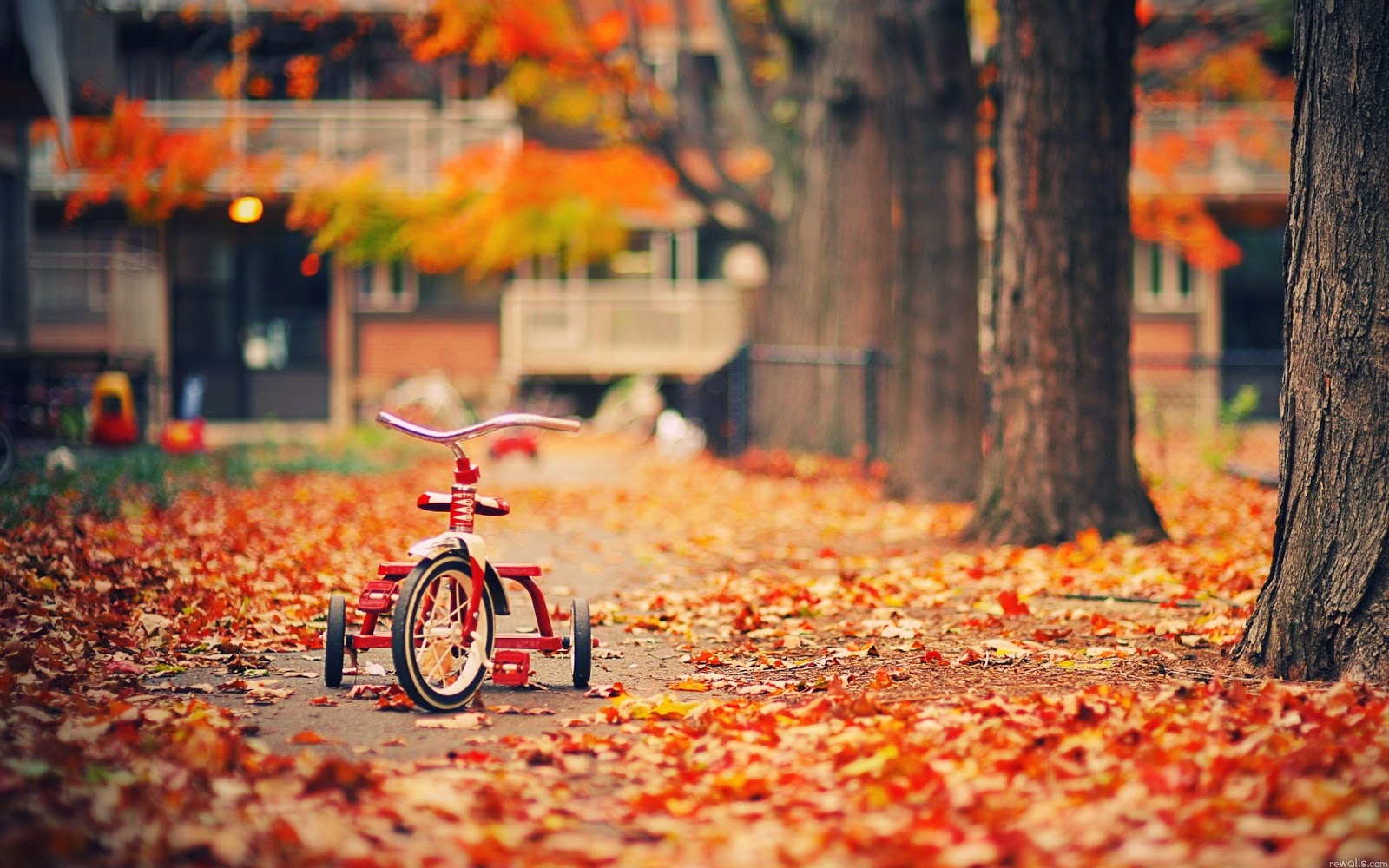 chilly-fall-weather-quotes-quotesgram