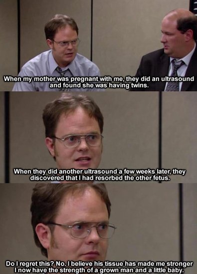 Christmas Quotes The Office Dwight. QuotesGram