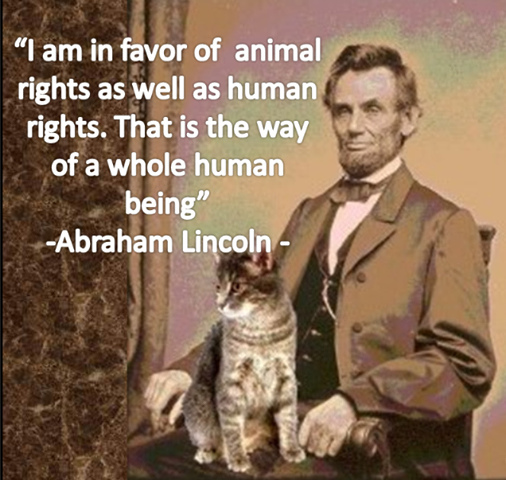Anti Animal Rights Quotes. QuotesGram