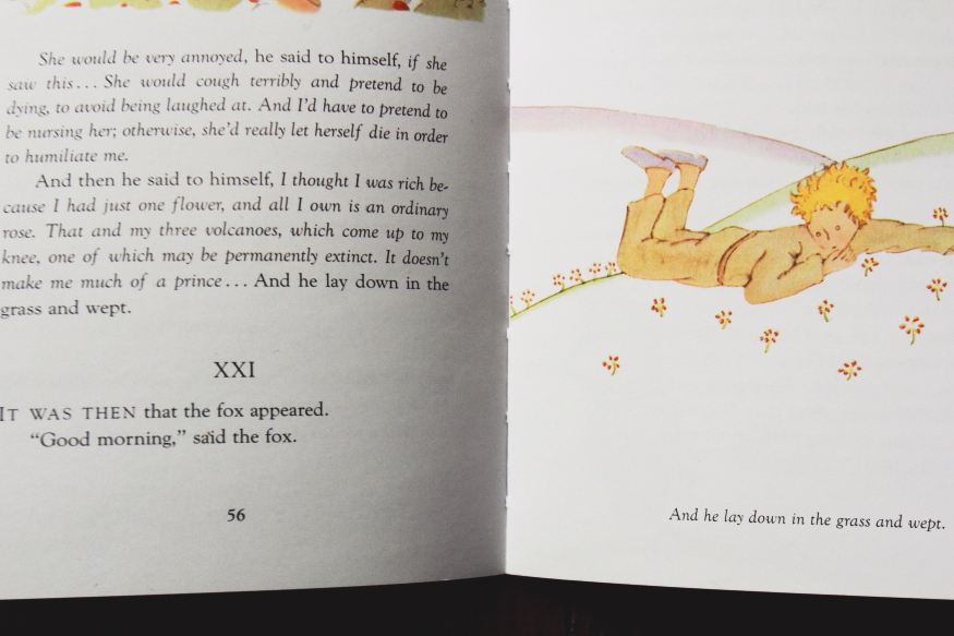 The Little Prince Quotes Chapters. QuotesGram
