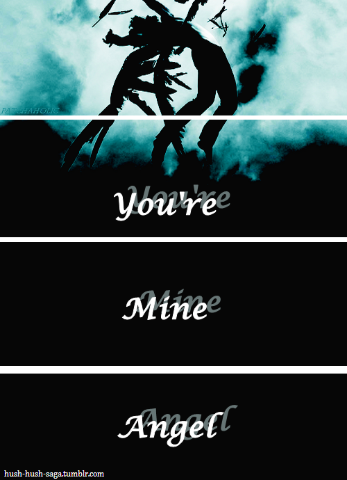 Hush Hush Saga Quotes. QuotesGram