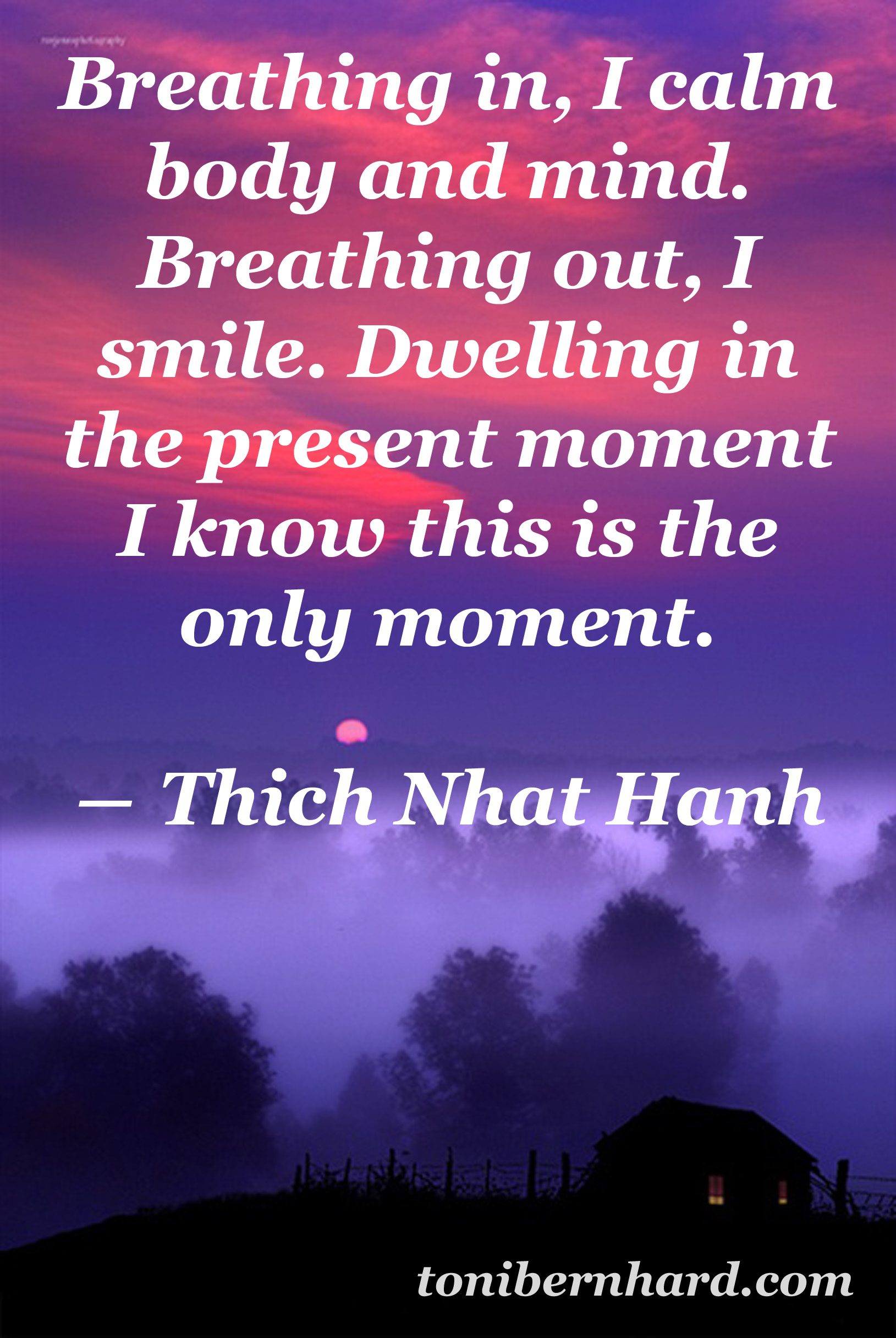 Thich Nhat Hanh Peace Quotes. QuotesGram