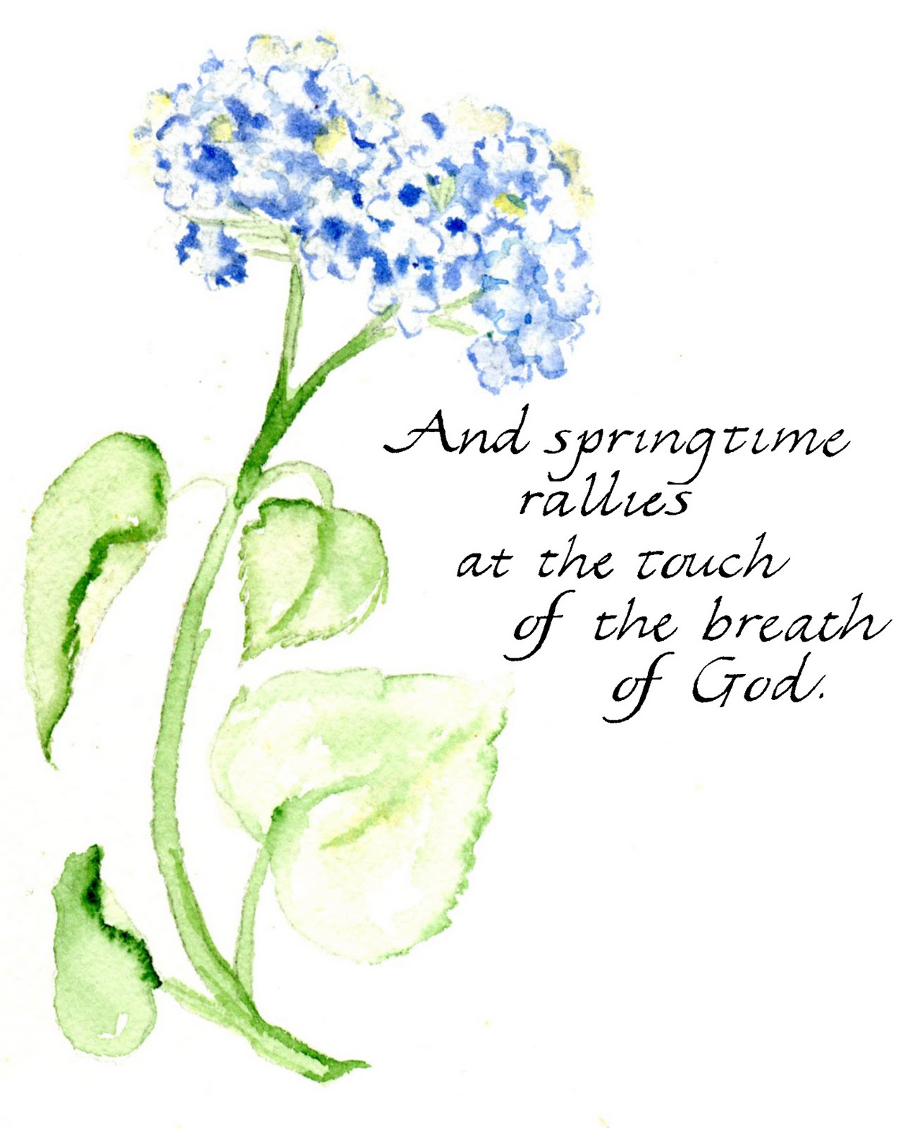 Spring Flower Quotes And Sayings. QuotesGram
