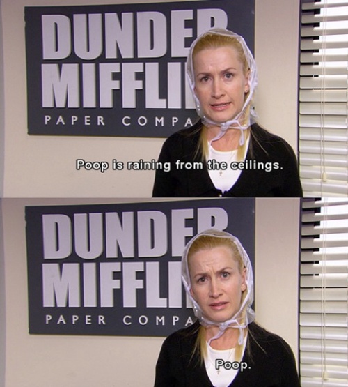 Office the angela quotes from Angela Kinsey