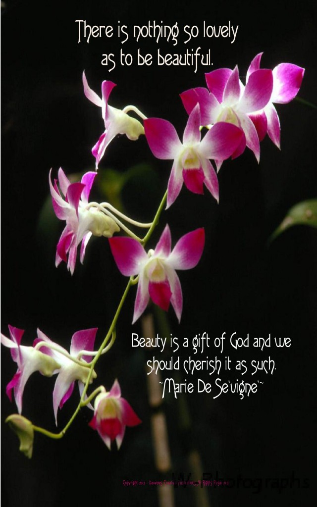 Beautiful Flower Quotes. QuotesGram