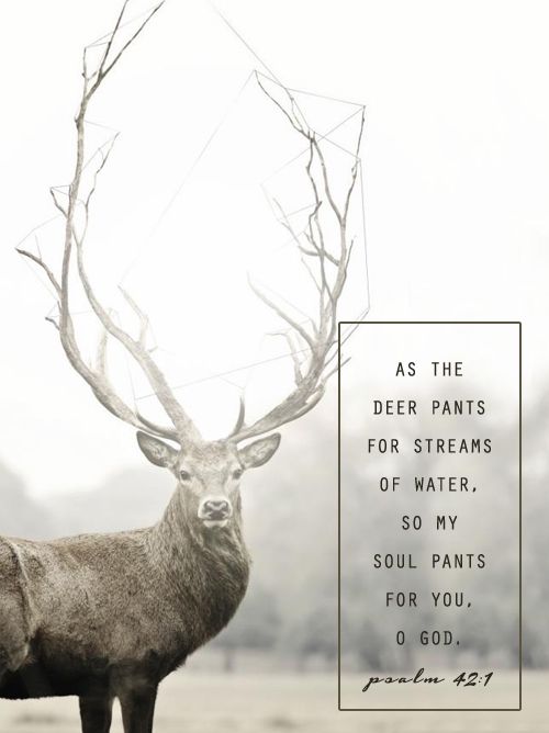 Christian Food For Thought Quotes. QuotesGram
