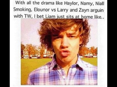 Liam Payne Funny Quotes. QuotesGram