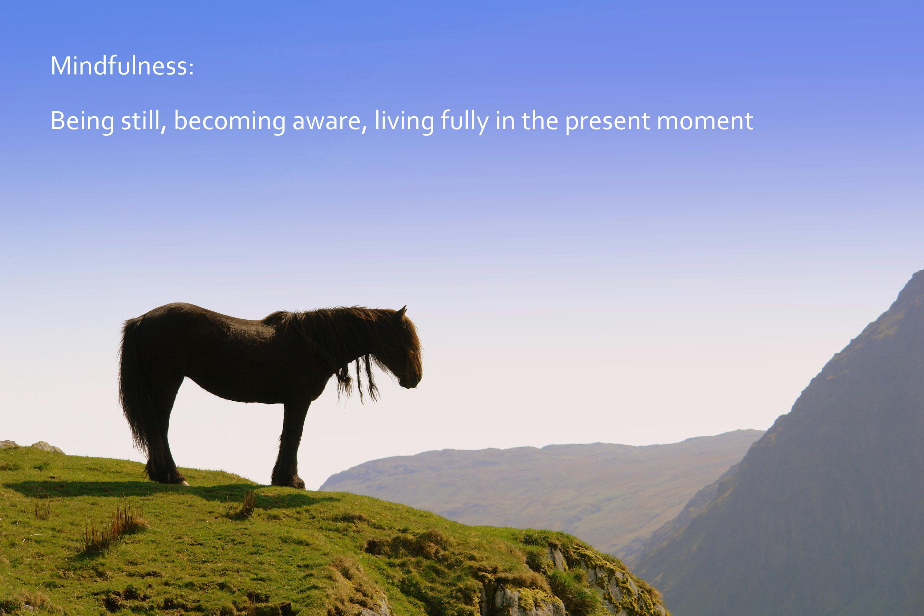 Living In Present Moment Quotes Quotesgram