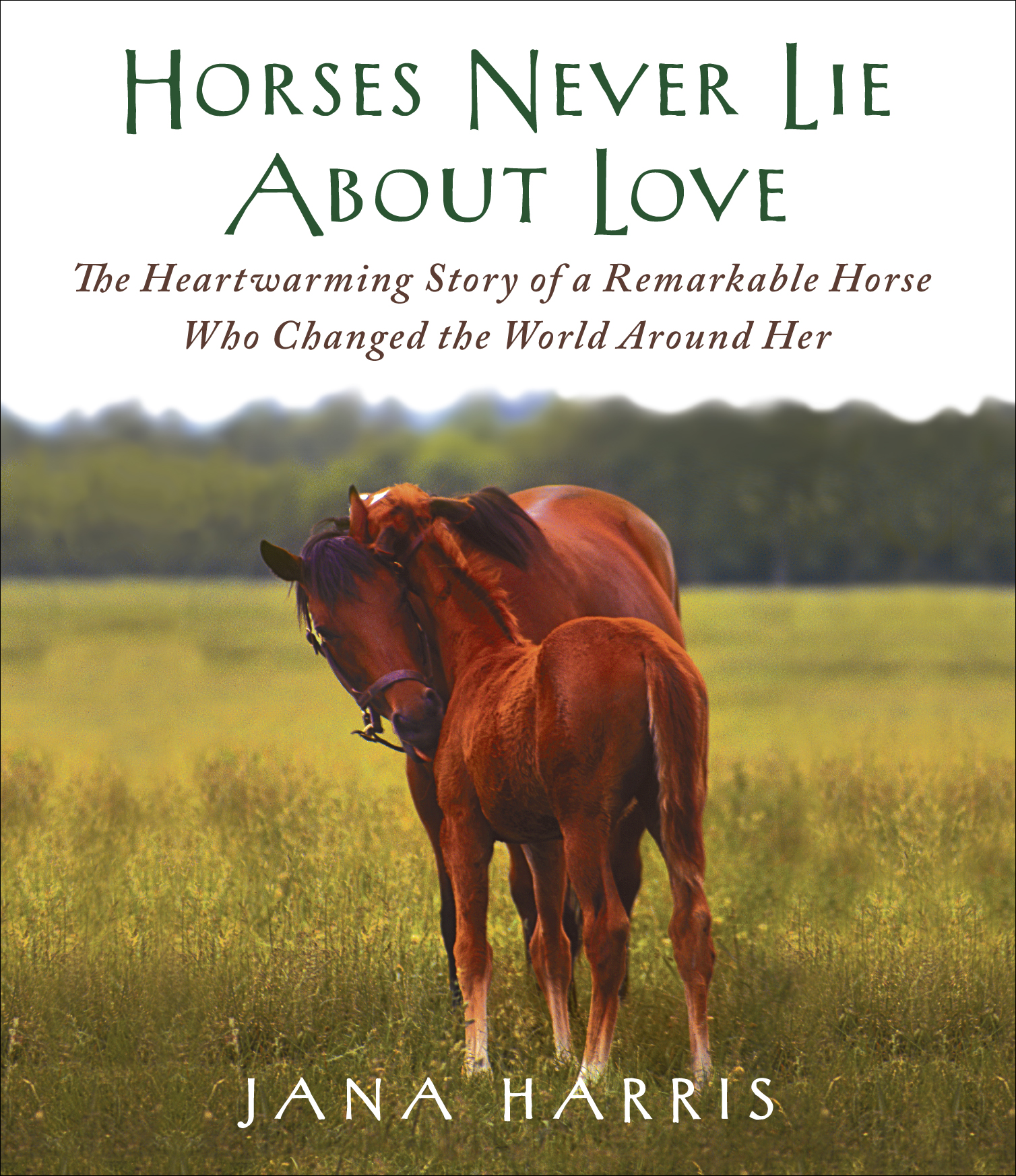 Inspirational Quotes For Horse Lovers. QuotesGram Inspirational Quotes For Horse Lovers. QuotesGram